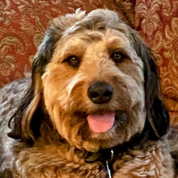 Meet your Posher, Christine - Picture 10 of 15